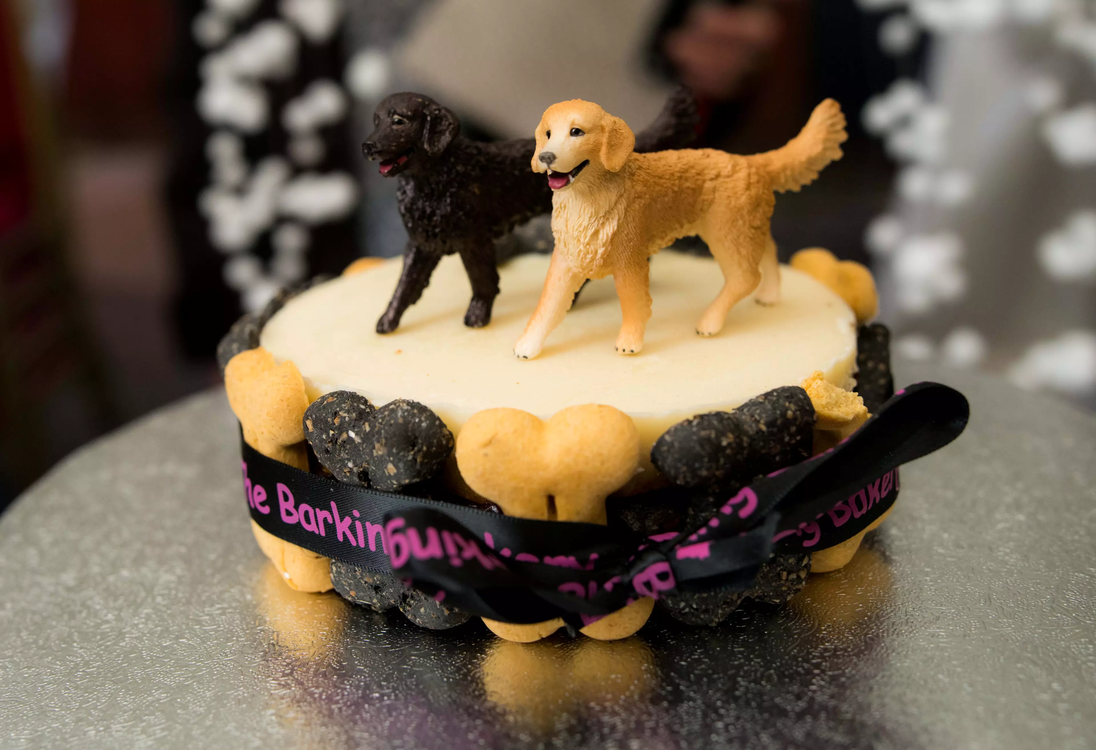 The big day for the dogs included a specially-made dog-friendly cake. (