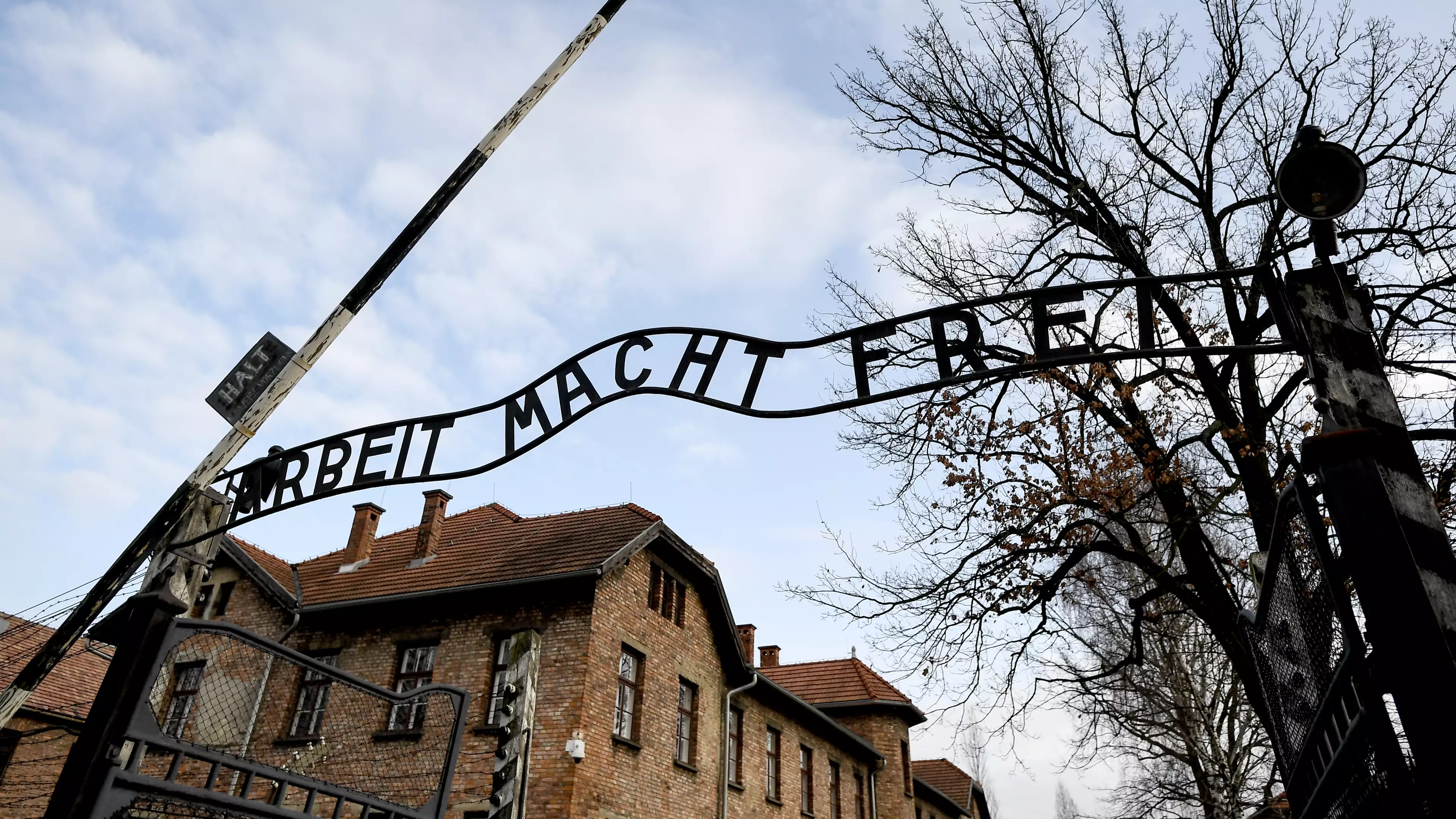 The Auschwitz Memorial Has Asked TikTok Users To Stop Dressing Up As Holocaust Victims
