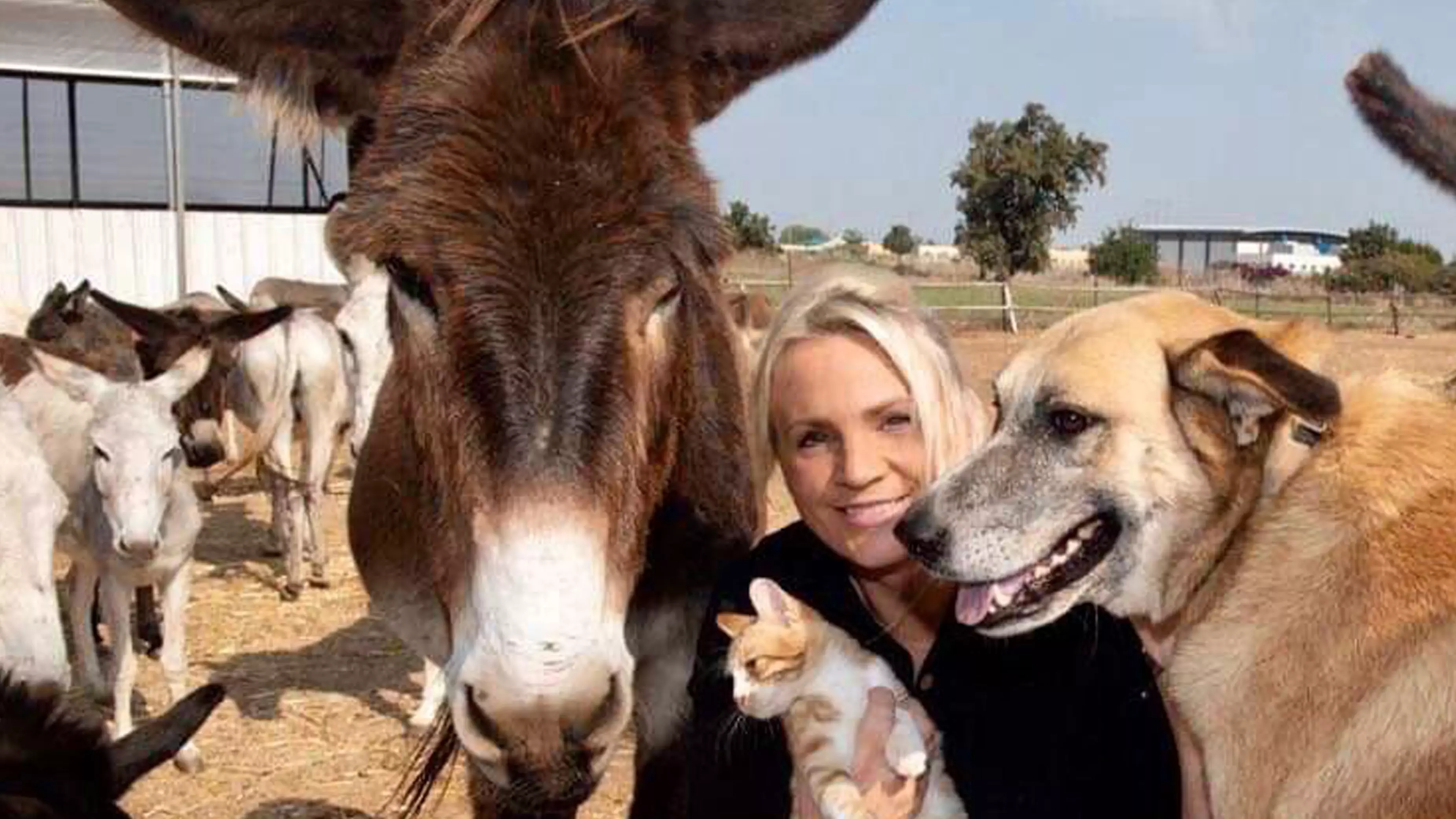 Woman Dedicates Her Entire Life To Saving Donkeys