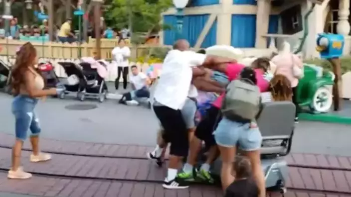 Man Involved In Disneyland Brawl Could Face Seven Years In Jail