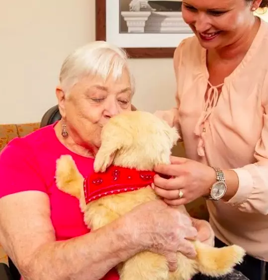 The pets really help boost the morale of elderly people (