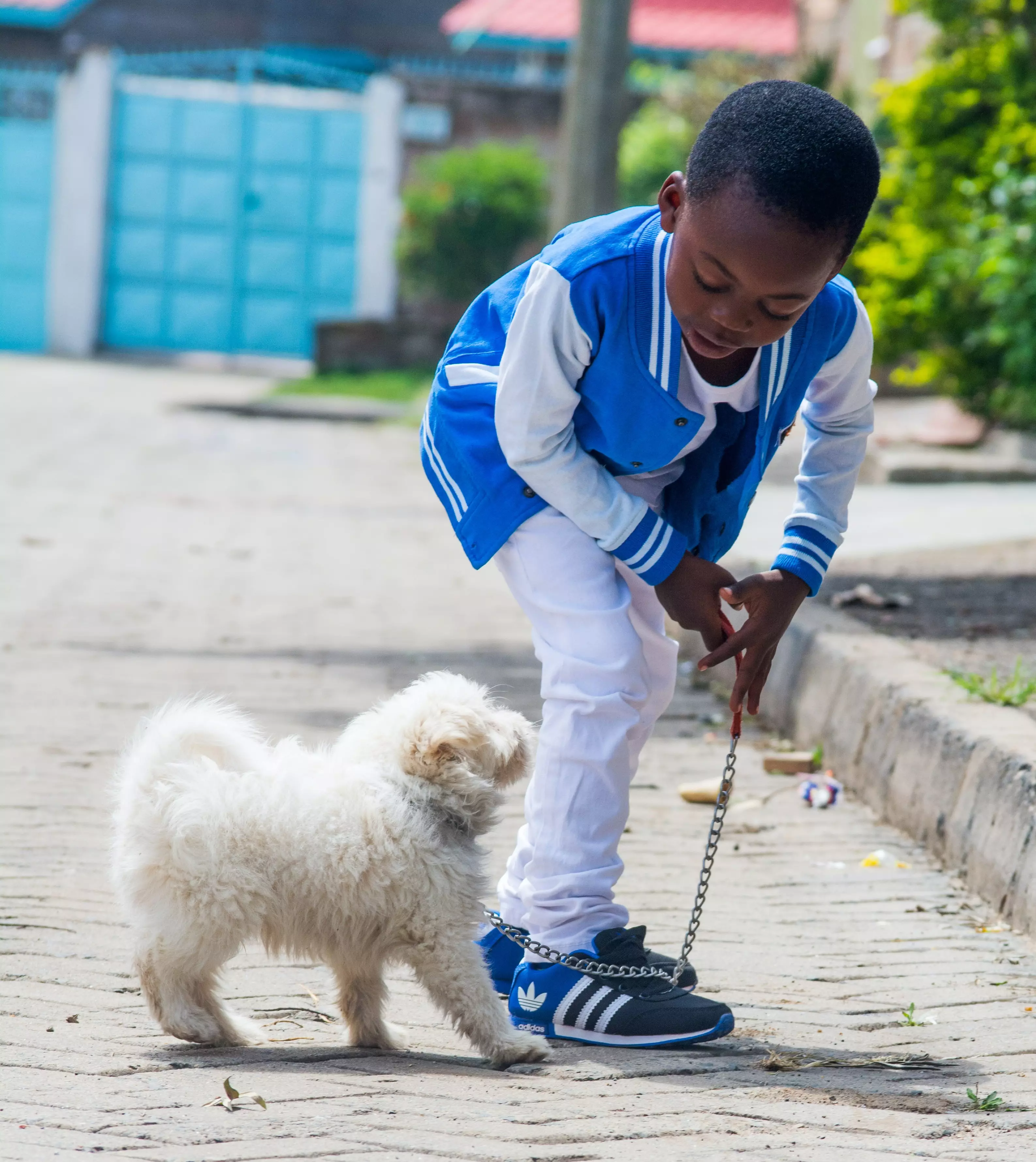 Kids who play with their dogs are better at making friends (
