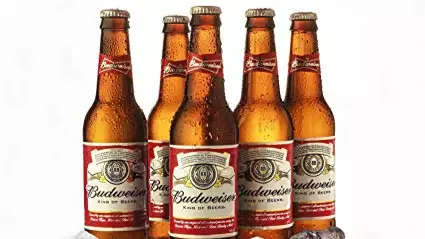 Budweiser Pledges To Give Away Free Beer To England Fans If The Lionesses Win Tonight