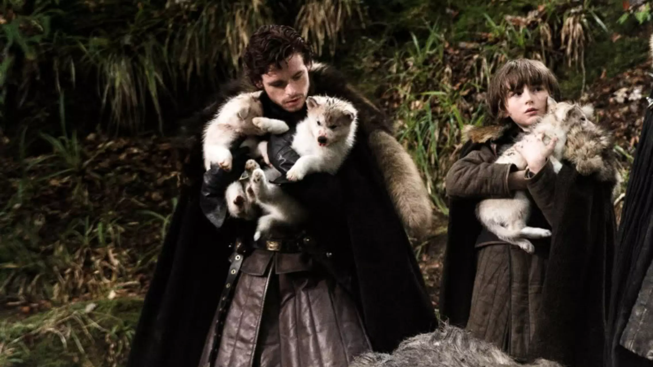 Dog Who Played Bran Stark's Direwolf In Game Of Thrones Dies 