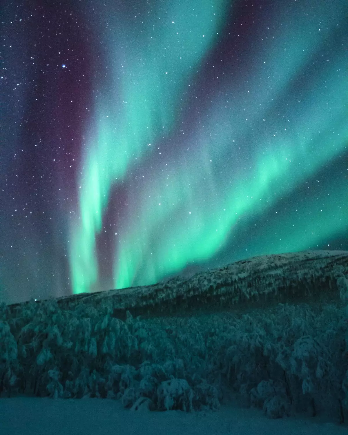 Aurora Borealis is another term for Northern Lights (