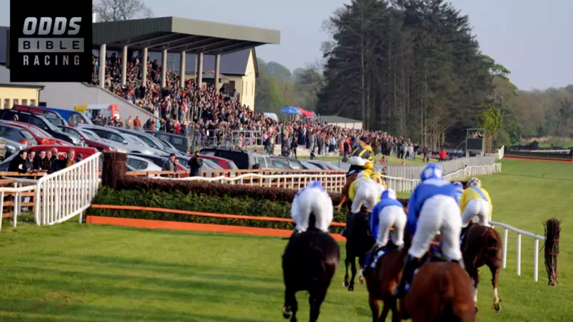 ODDSbibleRacing's Best Bets For Wednesday's Action At Bath, Catterick And More