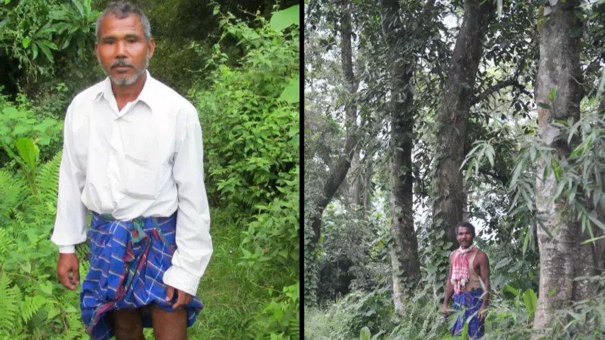 Man Has Spent 40 Years Planting A Tree Every Day On A Desolate Island