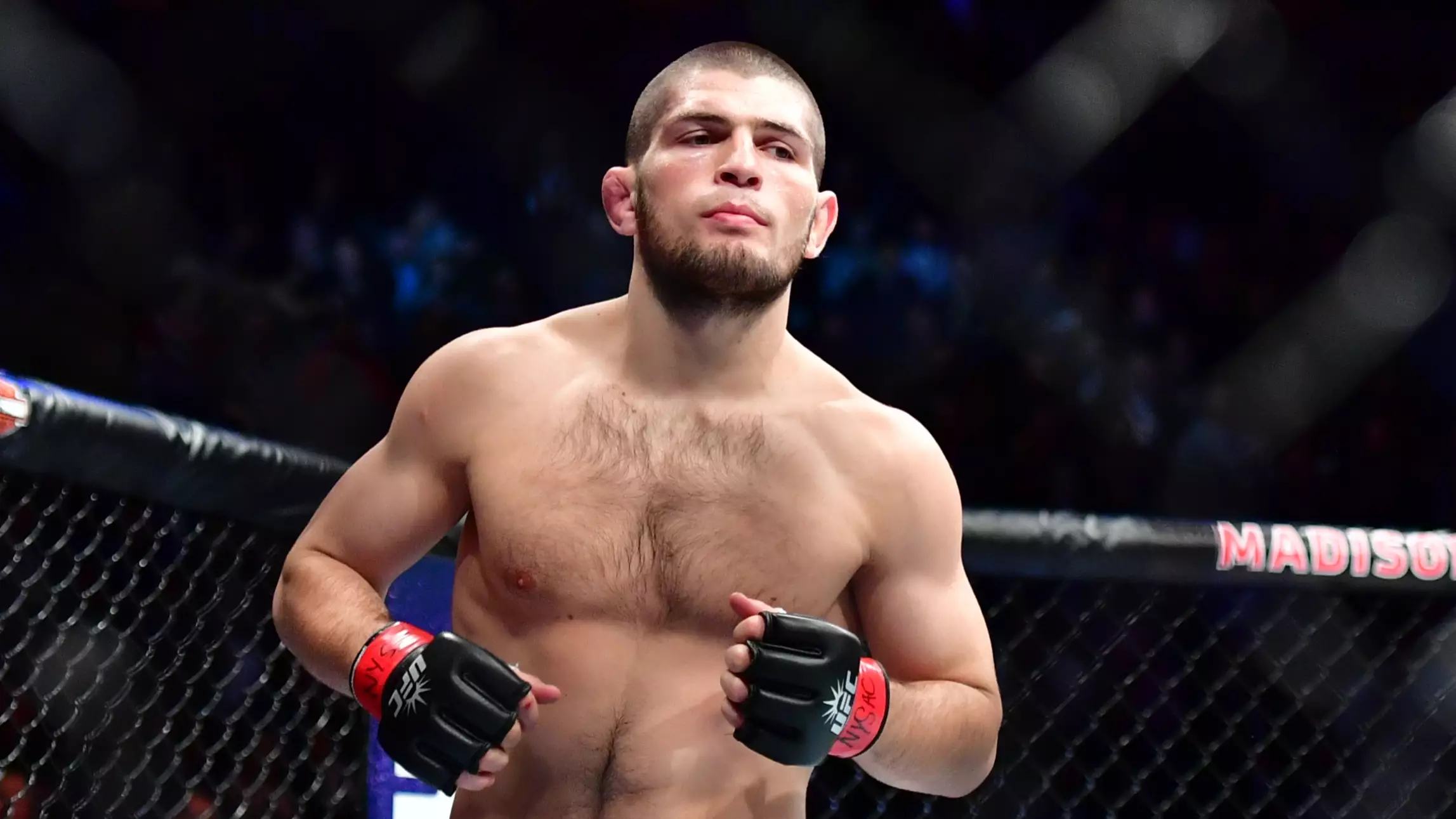 Khabib Nurmagomedov Called Out For Superfight By Undefeated UFC Champion