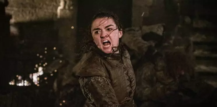 He urged fans to sign a petition for a sequel with Arya Stark as the main character.