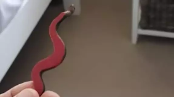 Snake Catcher Gets Called To Home Only To Find A Rubber Snake  