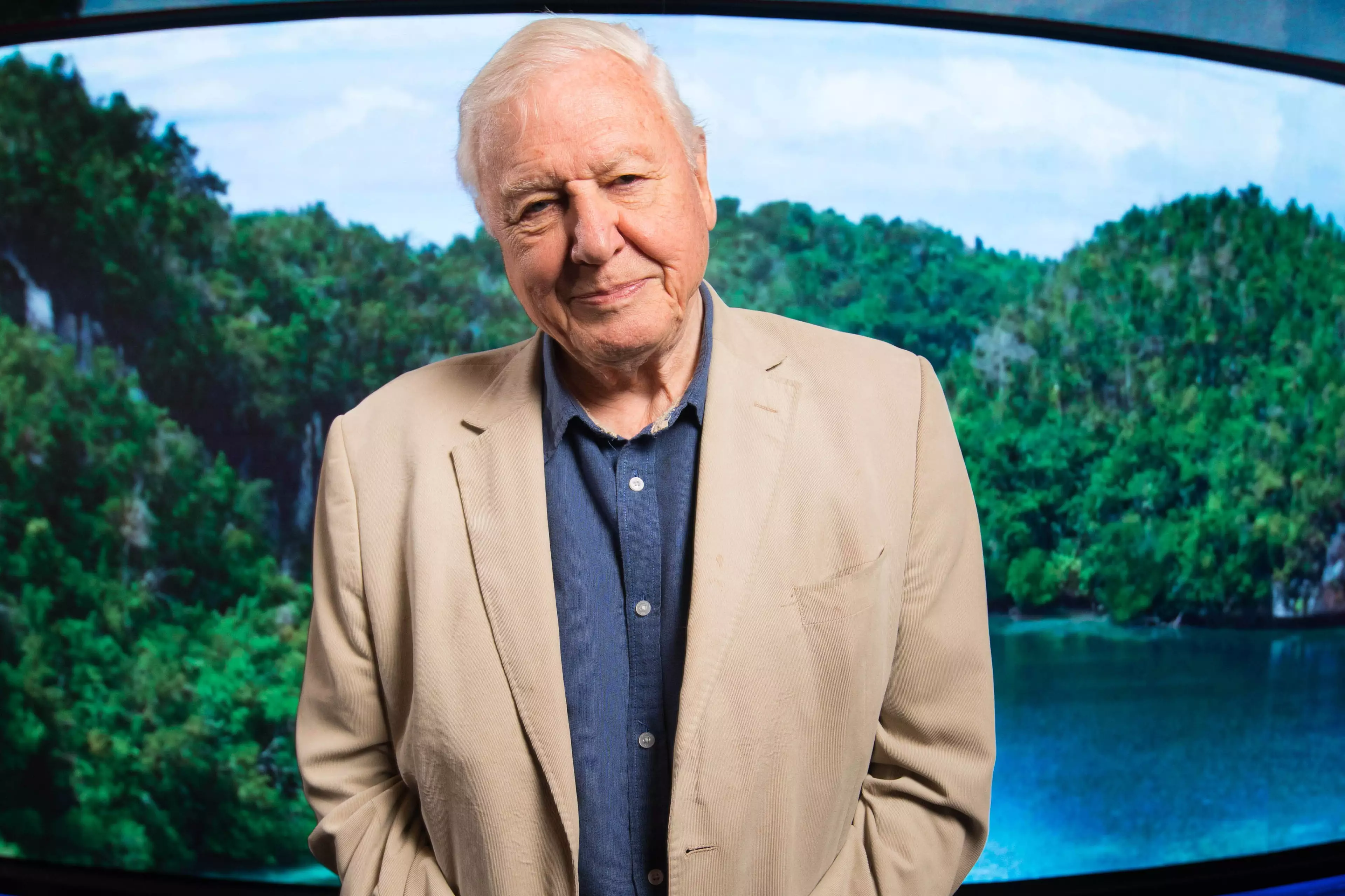 David Attenborough turns 95 this year and he still doesn't have a driving licence '