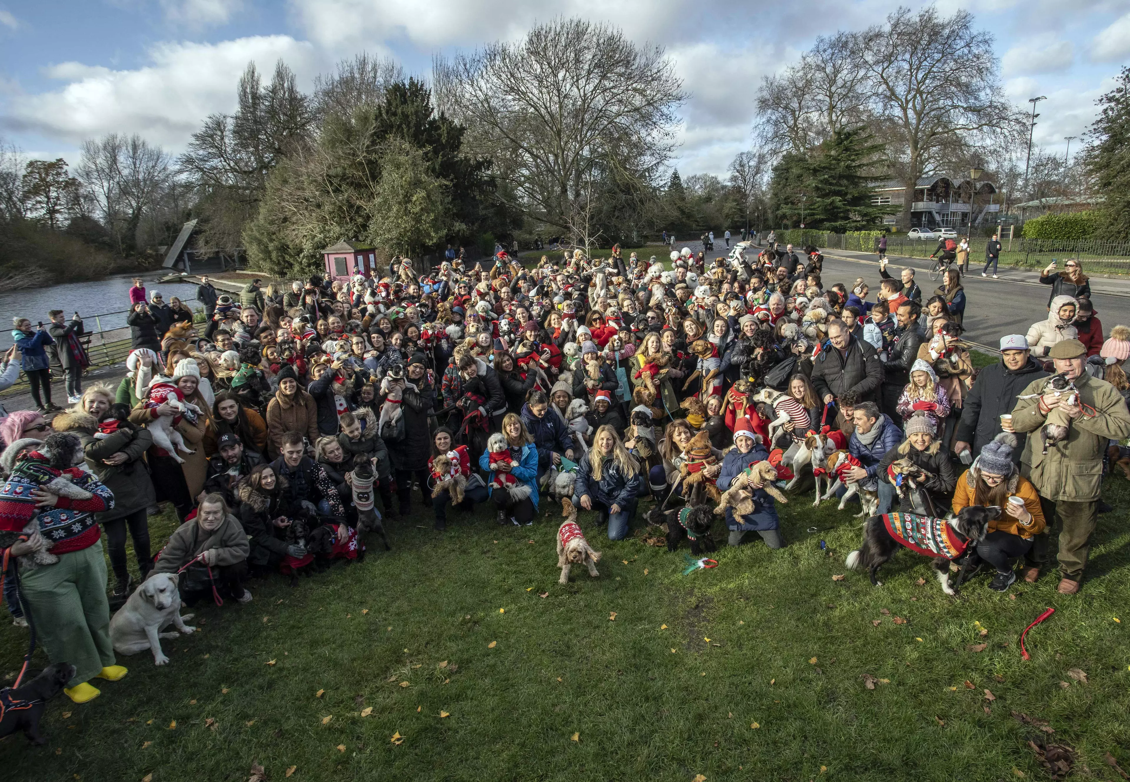 The world record attempt for the biggest gathering of dogs in Christmas jumpers was smashed on Sunday (