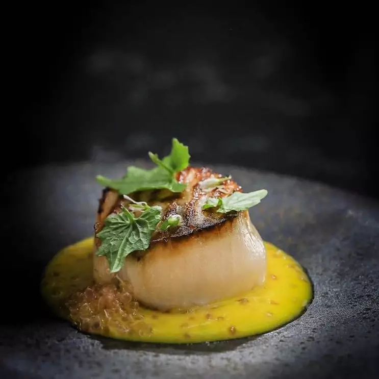 Lucky Cat's Orkney Scallop with yuzu and sweetcorn hot sauce, finger lime and wasabi leaves.