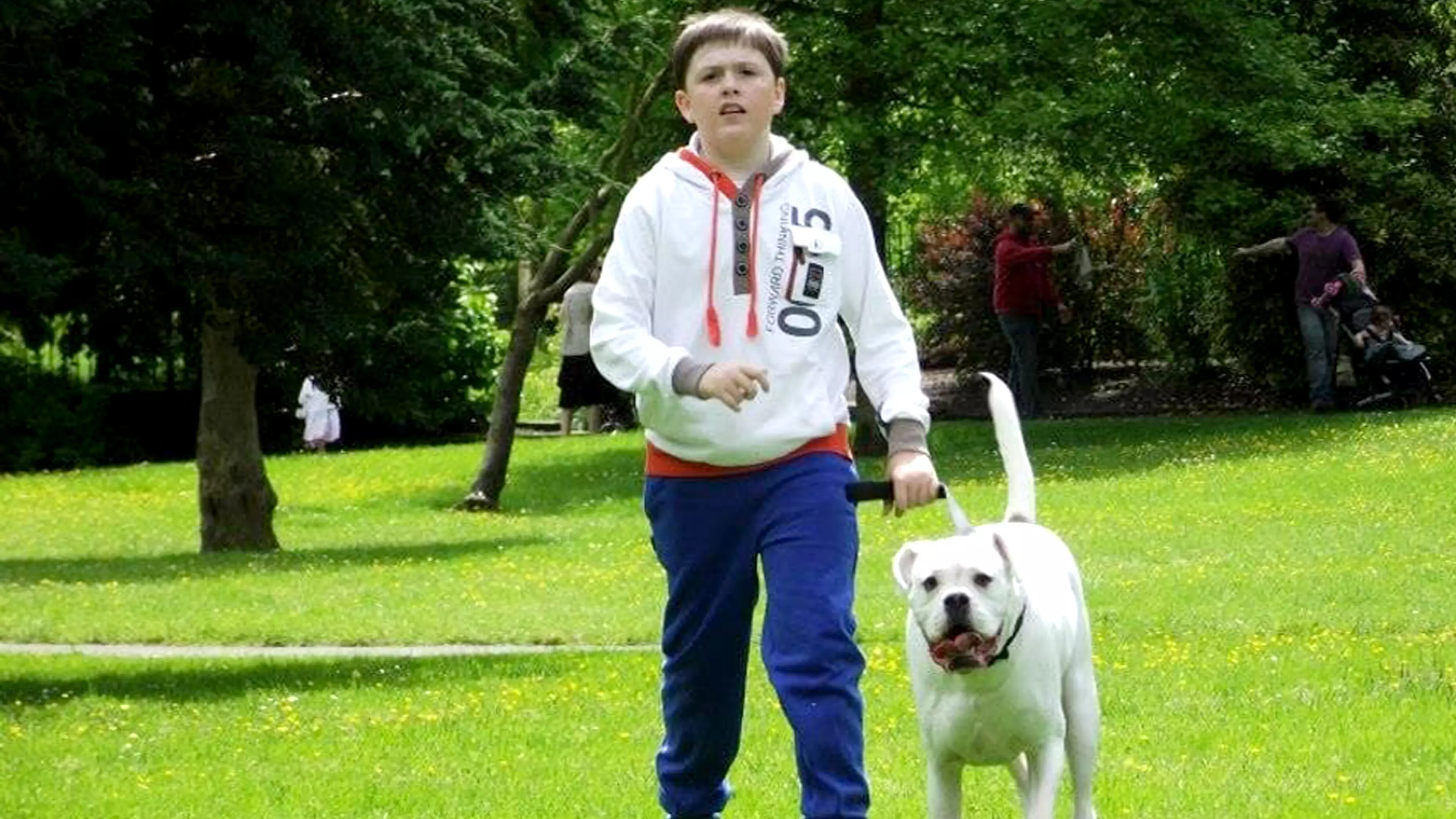 17-Year-Old Paralysed After Freak Accident When Playing With His Dogs 