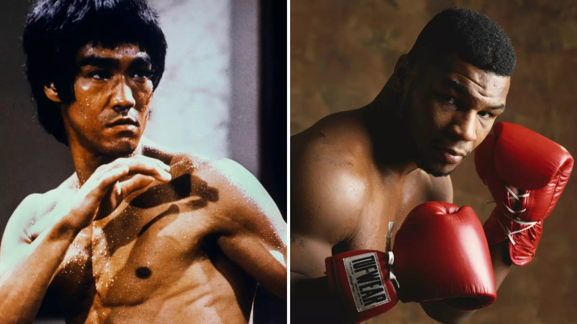 Mike Tyson Vs Bruce Lee: Fan Asked Who Would Win In A Dream Fight