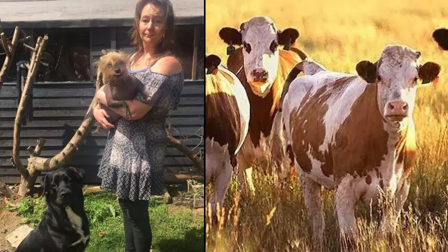 Mum Shares Shocking Injuries After She Was Thrown In The Air By Rampaging Cow