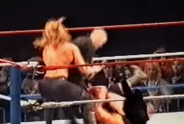 Video Of Triple H Beating Seven Shades Of Shit Out Of Ring Invader