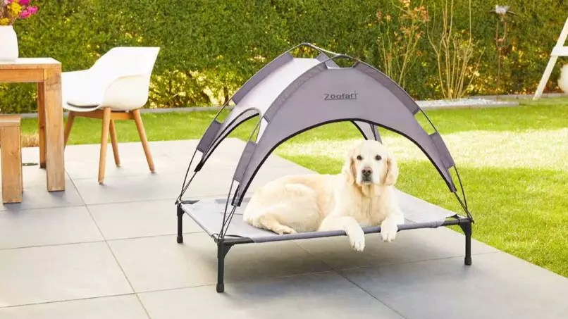 Lidl Will Be Selling A Pet Sun Bed For The Upcoming Heatwave 
