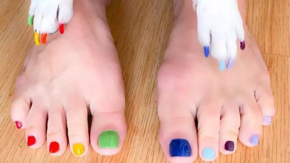 Pet Owners Are Getting Pedicures With Their Dogs To Strengthen Their Bond