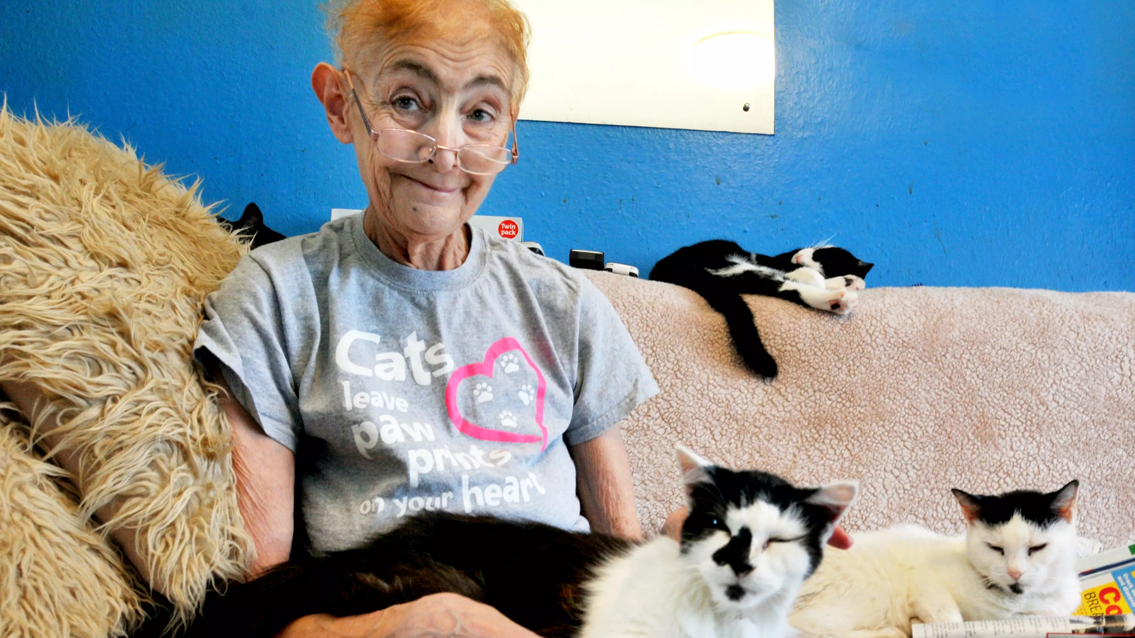 Woman With Terminal Cancer Urgently Needs To Rehome Her 40 Cats