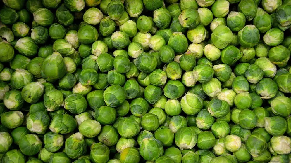 Brussels Sprouts, Cauliflower And Brocolli Shortage Hits UK
