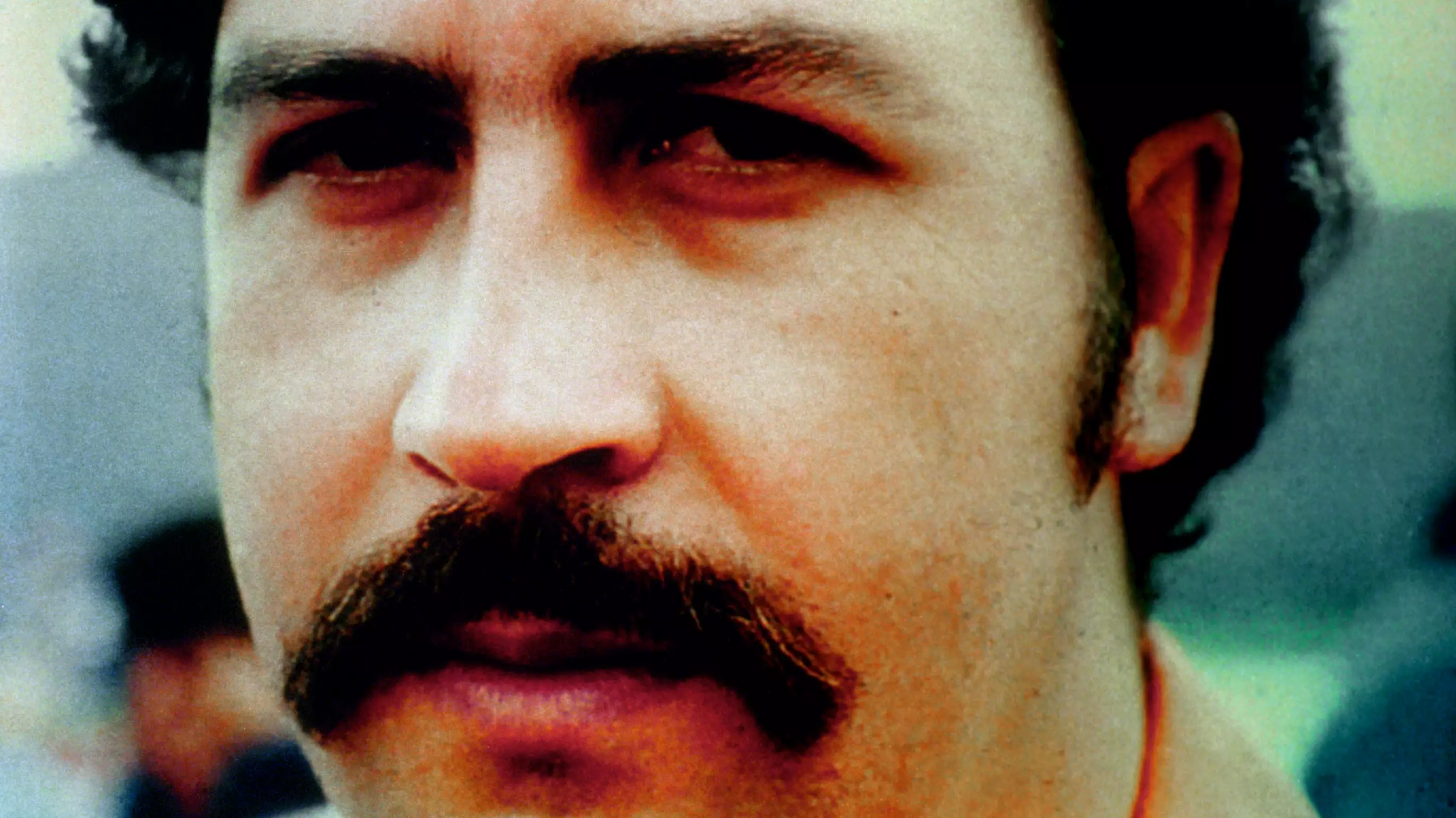 Netflix Is Making A Movie About Pablo Escobar's 'Cocaine Hippos'