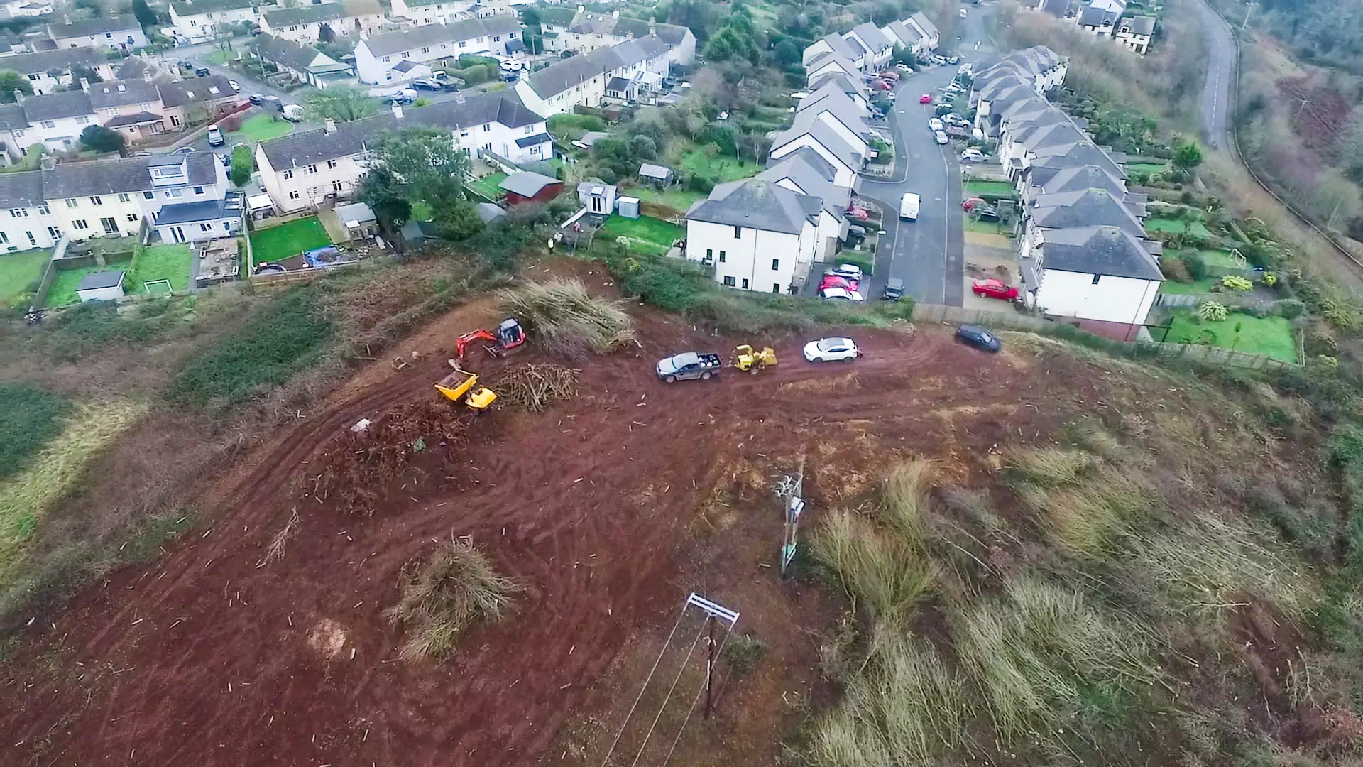 Property Developer ‘Cuts Down Huge Wood Before Applying For Permission To Build There’