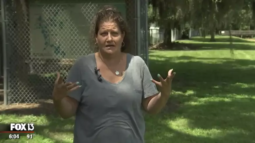 Woman Says Huge Alligator Ate Her Dog While Out For A Walk 