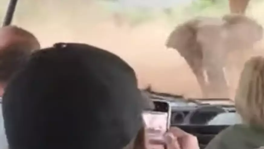 Angry Elephant Charges At Tourists During South African Safari