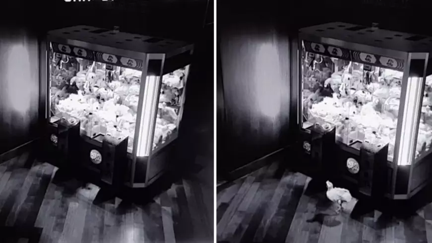 Spooky CCTV Shows Toys Escaping Arcade Machine In 'Real Life Toy Story' Moment