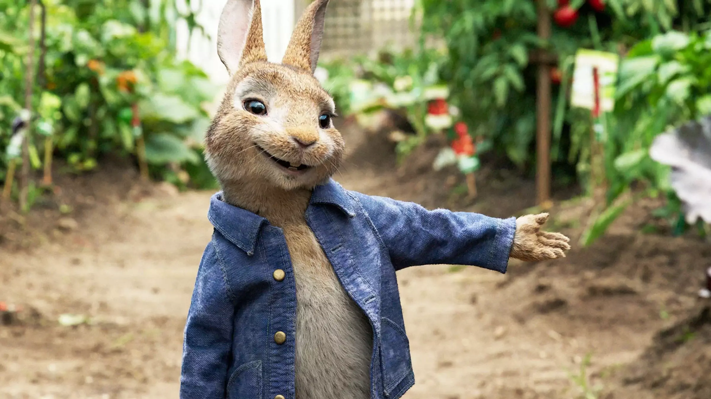 Hunter Is Releasing An Adorable Peter Rabbit Collection