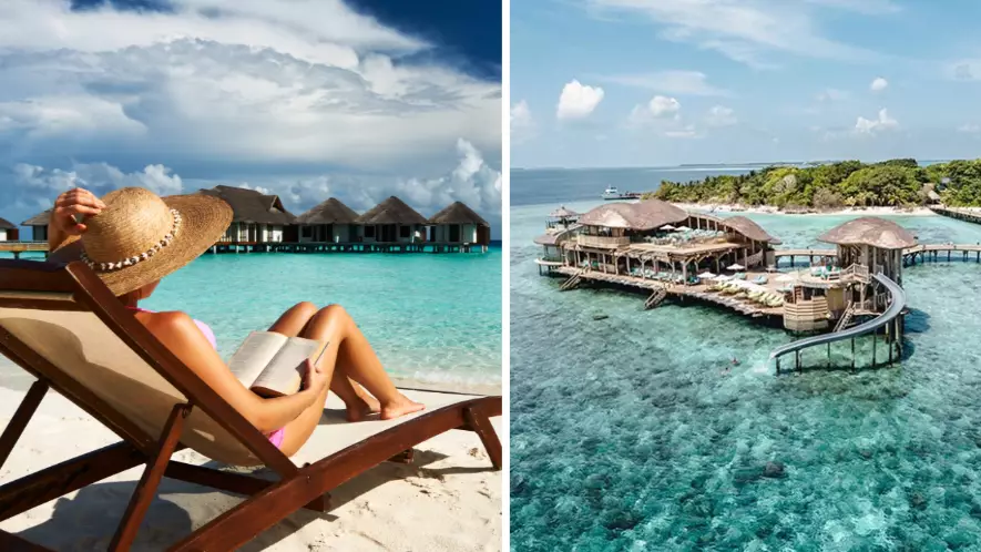 Luxurious Maldives Resort Is Hiring A Bookworm To Run Its Beachside Bookshop