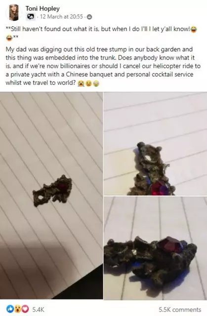 Toni Hopley updates her Facebook followers about the gem she discovered in her back garden.