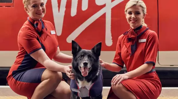 Stafford Station Dog Gets His Own Uniform From Virgin Trains