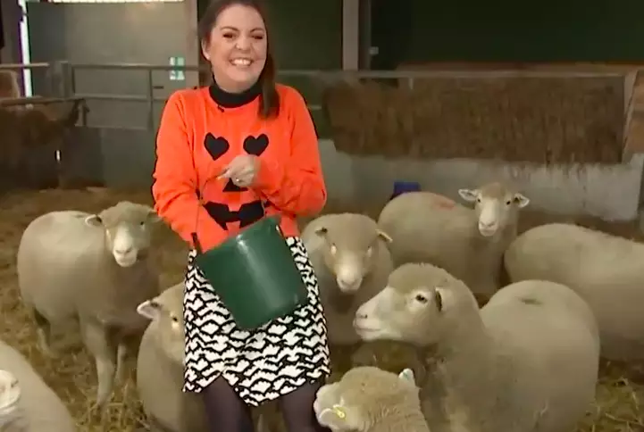 Laura was left in fits of giggles after her sheep ride (