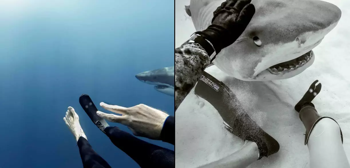 Amputee Surfer Comes Face-To-Face With Sharks Despite One Biting Off His Leg