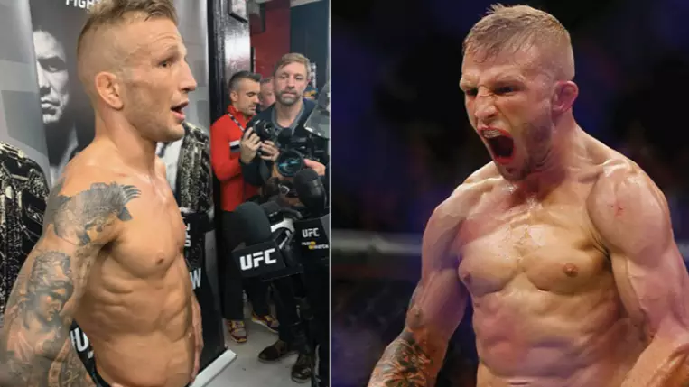 TJ Dillashaw Gives Up UFC Title And Banned For One Year Over Failed Drugs Test
