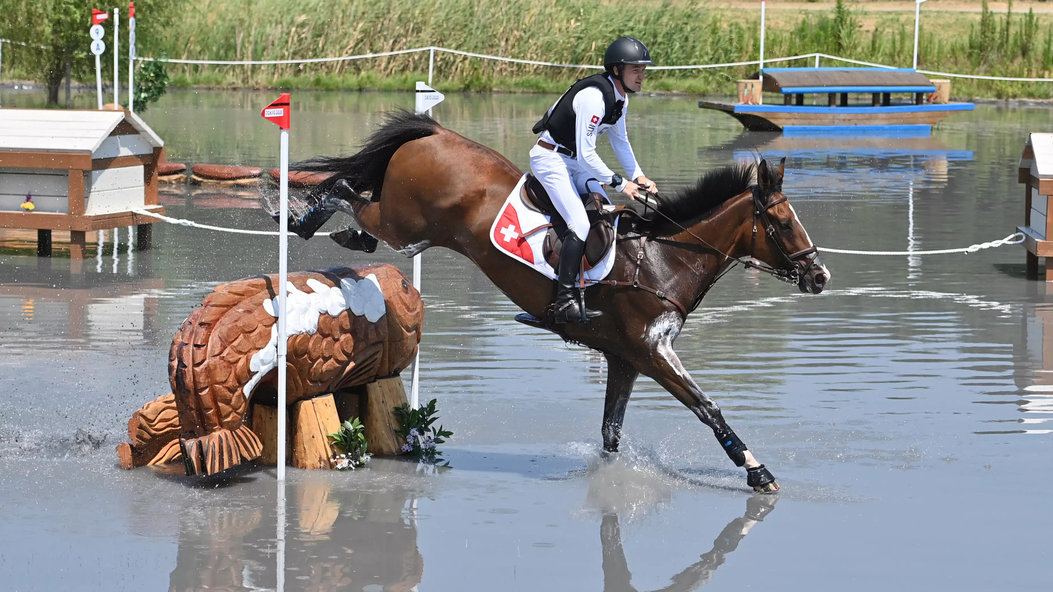 Horse Euthanised At Tokyo Olympics After Suffering Injury In Cross Country