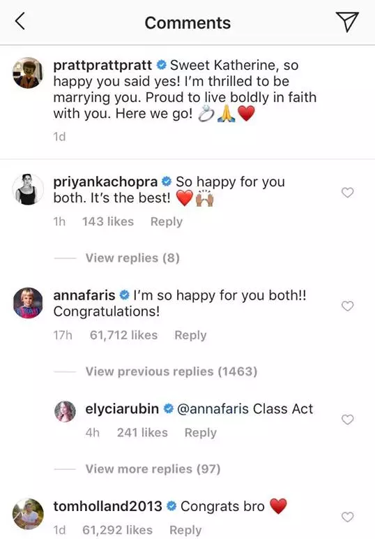 Anna congratulated the couple on their engagement.