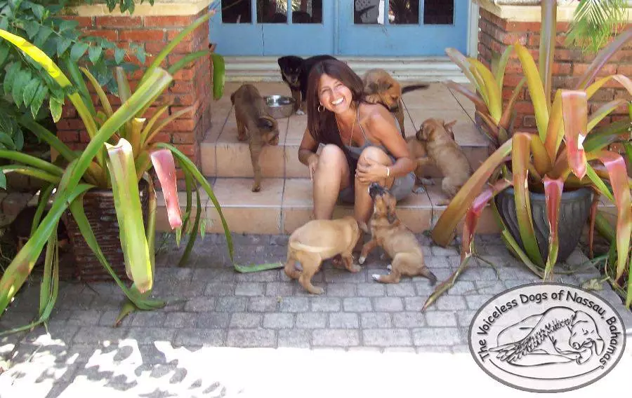 Caring Woman Houses 100 Dogs During Hurricane Dorian