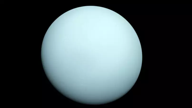 Uranus Will Be Very Bright In The Night Sky Tomorrow 