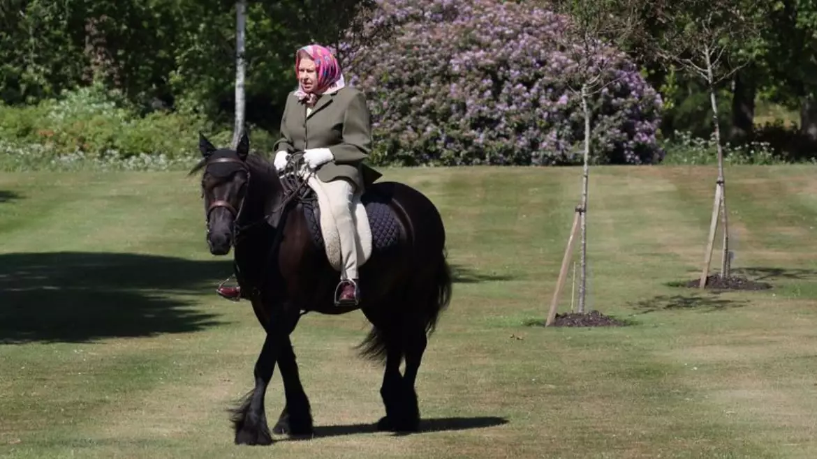 Queen Pictured Riding Pony In First Public Appearance Since Lockdown Began