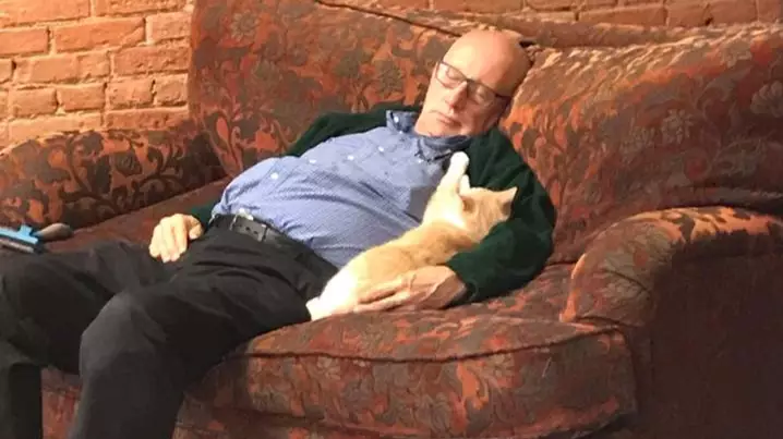 This Man Falls Asleep While Brushing Cats And Everyone Loves Him