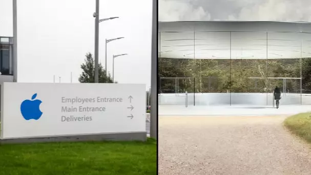 Employees Are Walking Into Panes Of Class At Apple's New HQ