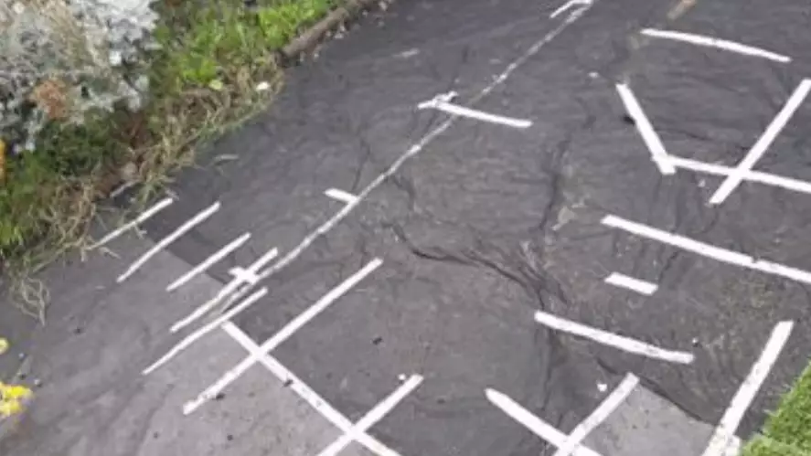 Woman Wakes Up To Find Lawn Missing From Her Garden
