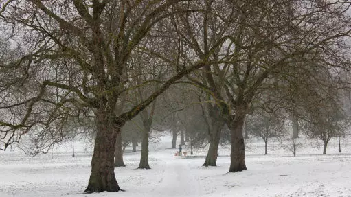 Thousands Eligible For Money Off Electric Bill After Britain's Worst Snow In Years