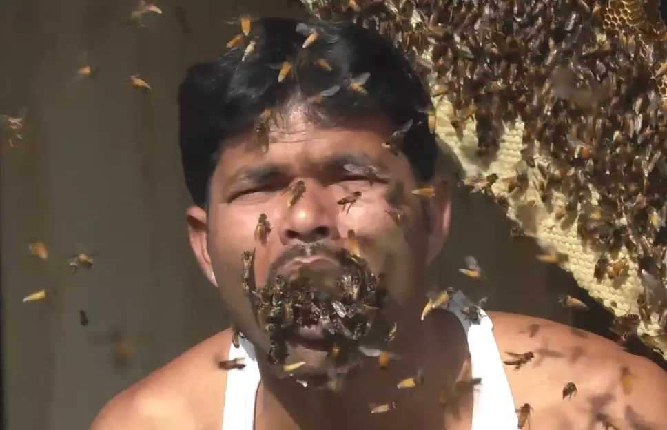 Suk shoves bees in his mouth for no apparent reason.