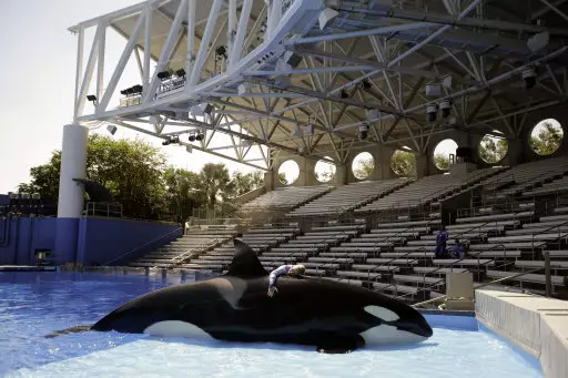 Schoolboy From Devon Admits To Hacking The SeaWorld Website