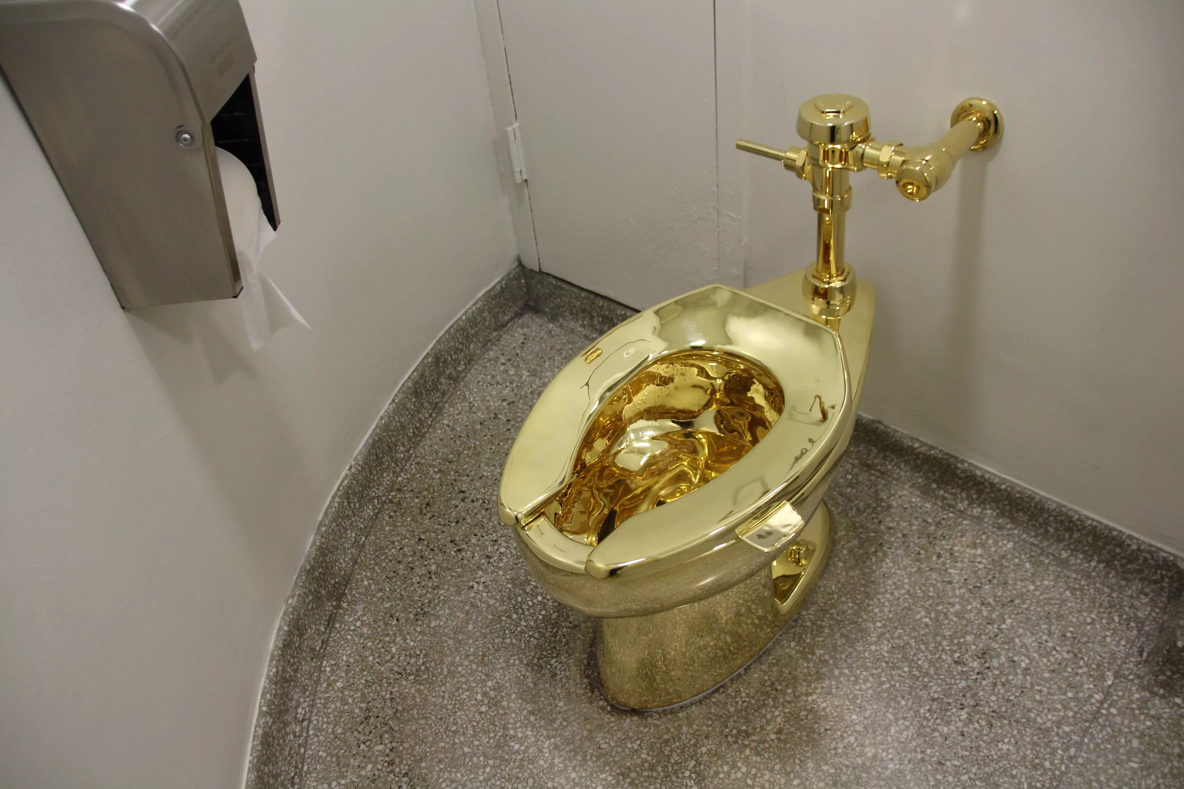 The toilet had only been on display for a few days before it was stolen.