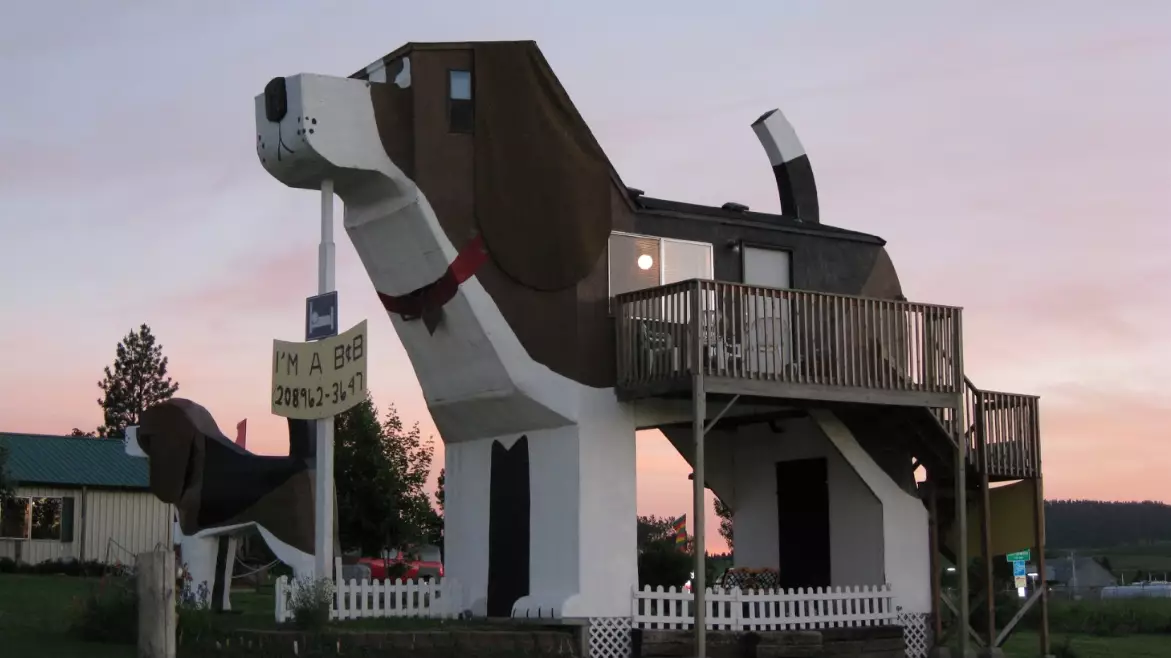 ​There's A House In The Shape Of A Giant Dog On Airbnb